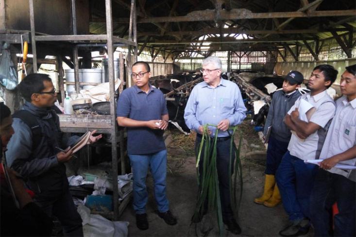 Bersama dengan enam mitra, Frisian Flag Indonesia telah berhasil menyelesaikan proyek Dairy4Development yang telah berlangsung selama sepuluh tahun di Pulau Jawa, Indonesia (Foto: dok. FFI)