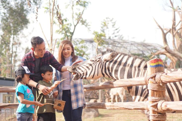 Taman Safari Indonesia mengajak pengunjung untuk menciptakan kesadaran akan pentingnya kesejahteraan satwa dan edukasi konservasi (Foto : Ist)