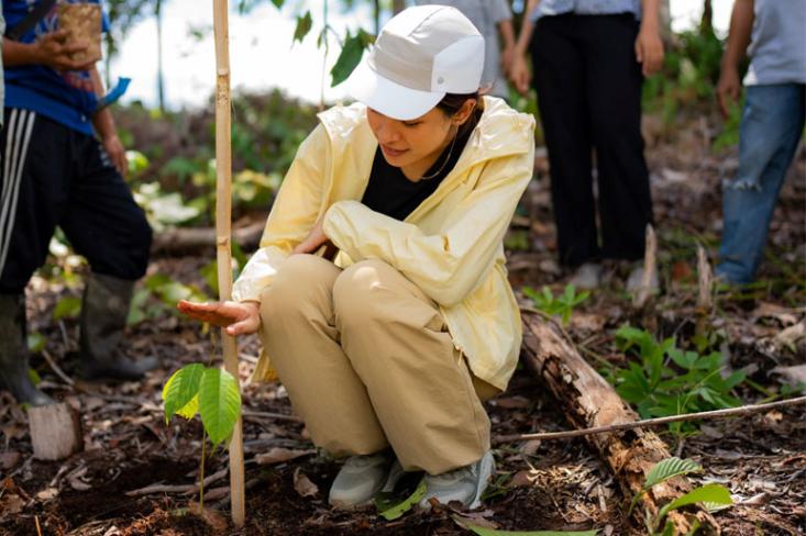 Maudy Ayunda menanam kembali pohon Tengkawang yang merupakan sumber dari Illipe nut butter yang merupakan bahan baku dari produk terbaru From This Island yakni Illipe Plumping Lip Butter (Foto: dok. FTI)