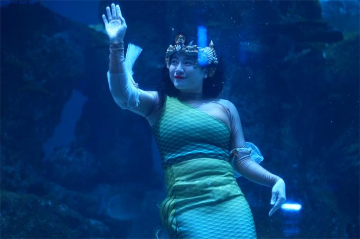 Felicya Angelista tampil sebagai Mermaid di acara peluncuran Parfum Biru dan Kilau Samudra di Jakarta AQuarium Safari pada Rabu, 2 Oktober 2024. Foto: Ist