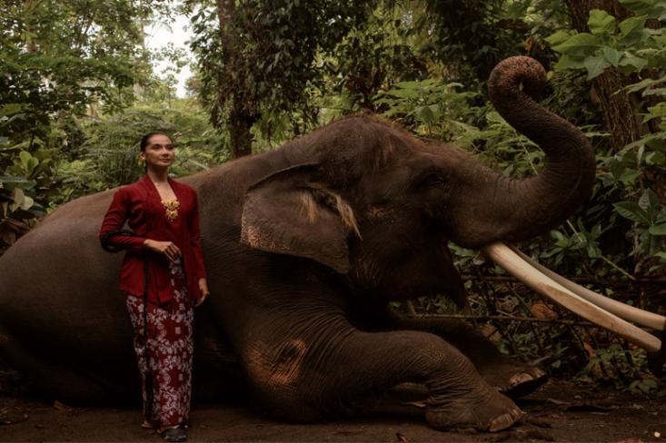 Sarwa Prani, kolaborasi apik Menggah Agung dan Maudy Koesnaedi (Foto : Ist)