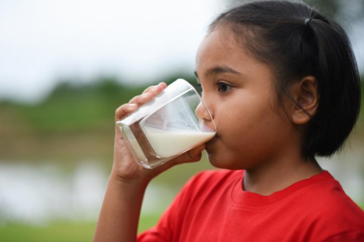 Rata-rata orang Indonesia hanya minum sekitar 16,3 liter susu per tahun, masih kalah jauh dibandingkan negara-negara tetangga seperti Brunei, Malaysia, SIngapura, Thailand (Foto: Ist)