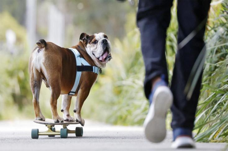Giotto punya hobi yang unik sekali, yaitu bermain skateboard. Foto: Ist