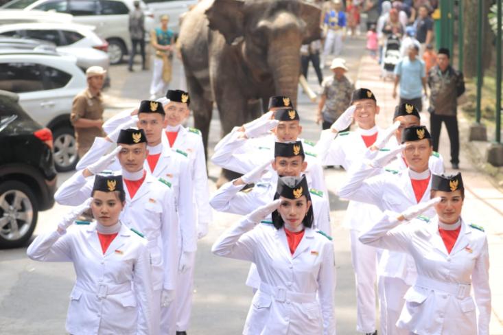 Rayakan HUT RI ke-80 dengan pengalaman tak terlupakan di Taman Safari Bogor, nikmati parade satwa edukatif
