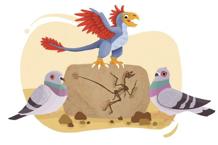 Microraptor (Ilustrasi by Novi Chrisna / KIKO Magazine)
