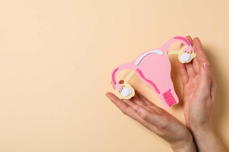 Lebih dari 1.900 konten hoaks terdeteksi sepanjang 2024,163 diantaranya terkait kesehatan terutama obat herbal dan vaksinasi (Foto : Freepik)