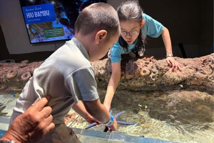 Di zona Touch Pool anak-anak bisa menyentuh langsung bintang laut serta berbagai biota laut lainnya, misal ikan pari. Foto: Novi