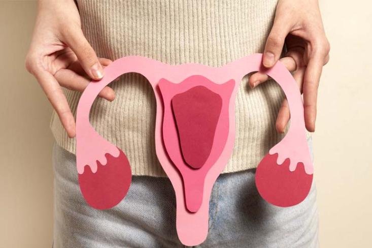 Sayangnya, gejala kanker endometrium kerap dianggap sebagai perubahan yang wajar menjelang maupun setelah menopause atau gangguan menstruasi biasa, sehingga penanganannya baru dilakukan ketika kondisi memburuk (Foto : Ist)