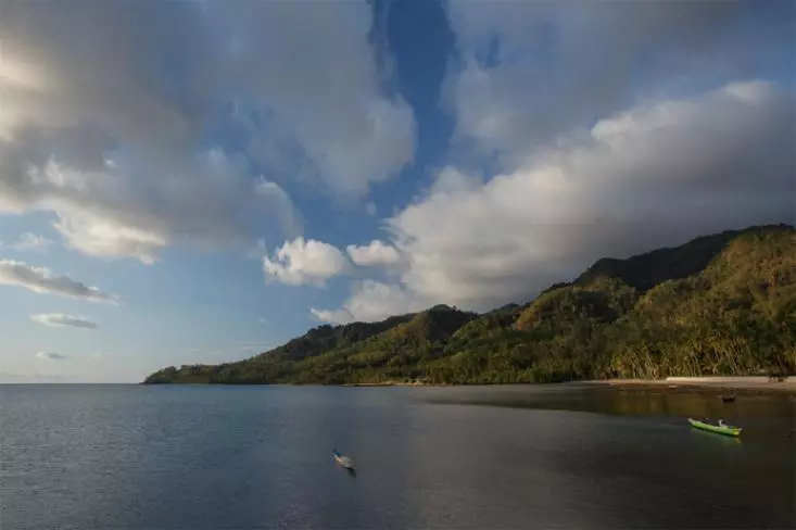 Menurut Living Planet Report (LPR) 2026, selama periode 52 tahun telah terjadi penurunan tajam sebesar 73% pada rata-rata ukuran populasi satwa liar yang dipantau. Foto: Ist