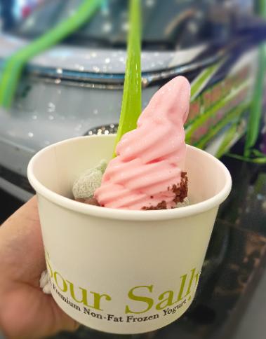 Sour Sally