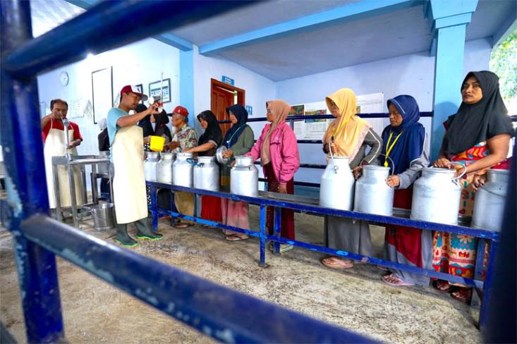 Pendampingan yang berkontribusi signifikan dalam peningkatan kualitas susu segar. Foto: Ist