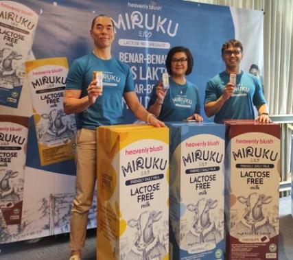 MIRUKU dibuat dari susu sapi segar dan diproses secara enzimatis