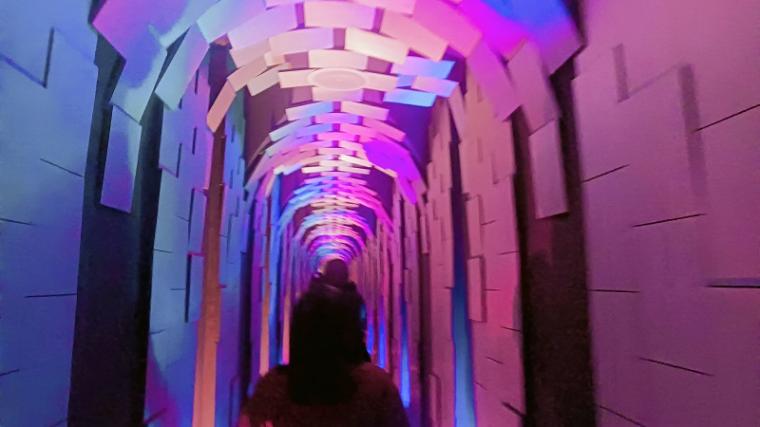 Tunnel of Curiosity