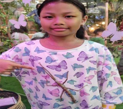 Ketika serangga ranting dan kupu kupu foto bersama