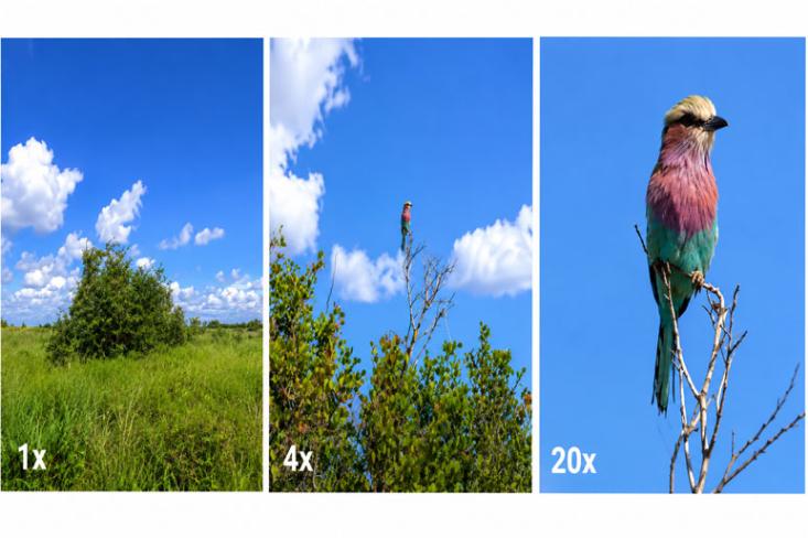 Menangkap detail dari jarak jauh dengan zoom hingga 20x. Foto: Ist